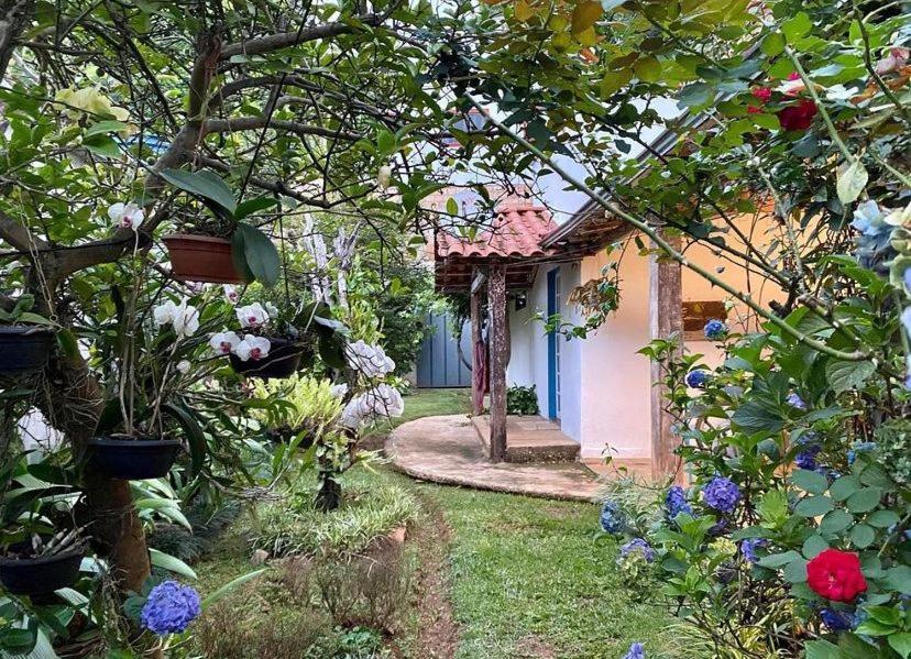 Cantinho Almeida Holiday home